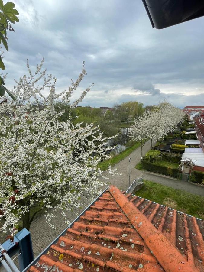 Grosszugige Wohnung In Findorff Bremen Buitenkant foto